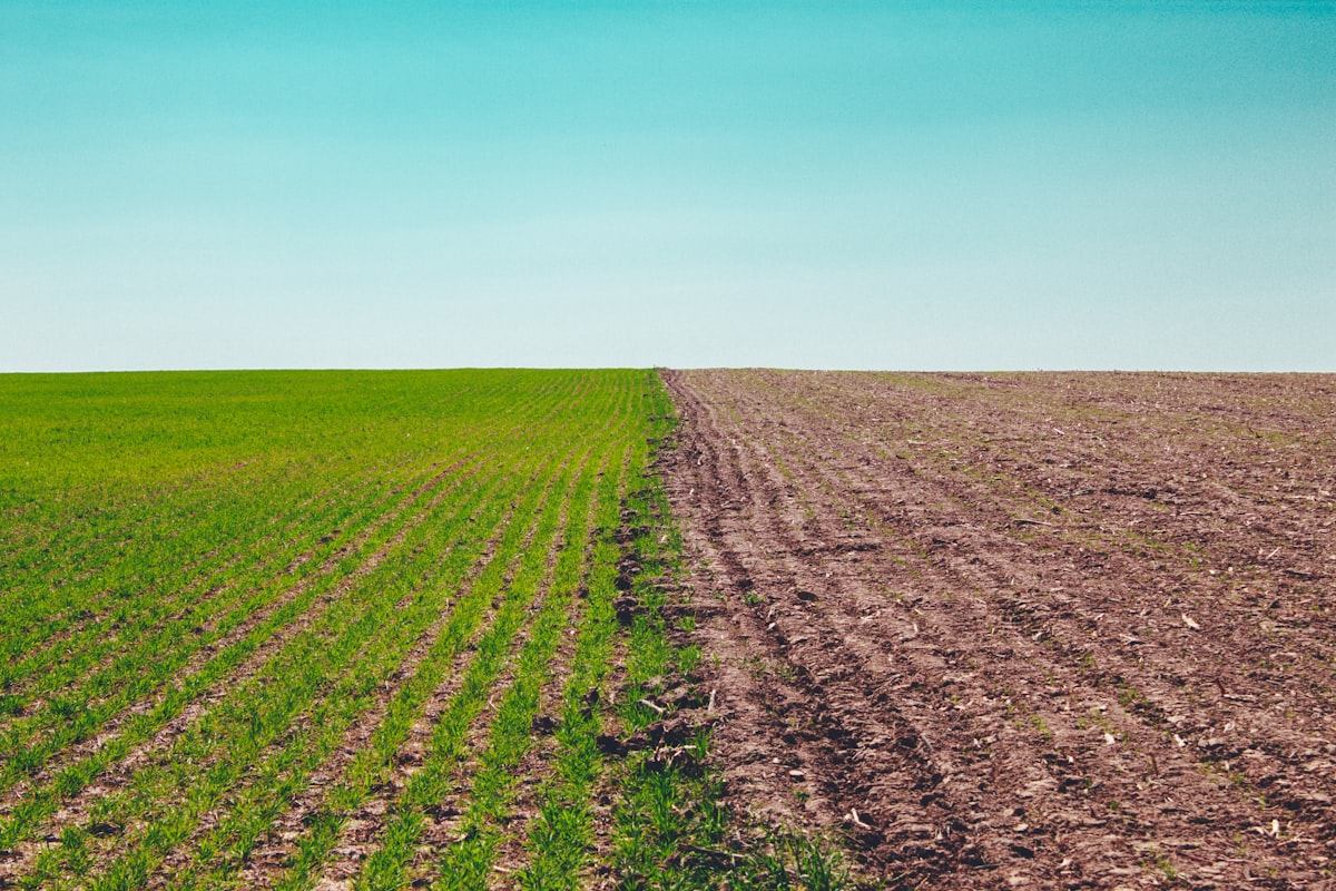 green grass field under blue sky during daytime — Photo by Ja Kubislav on Unsplash