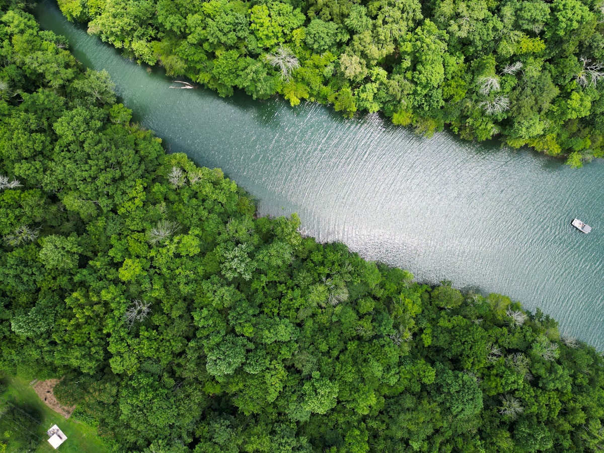 a river running through a lush green forest — Photo by Gigin Krishnan on Unsplash