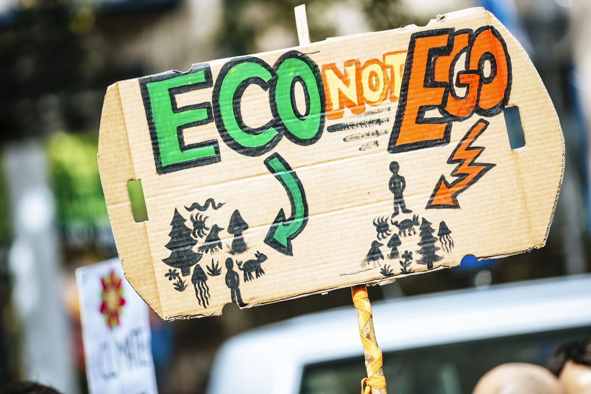 person holding Eco Not Ego signage — Photo by Markus Spiske on Unsplash