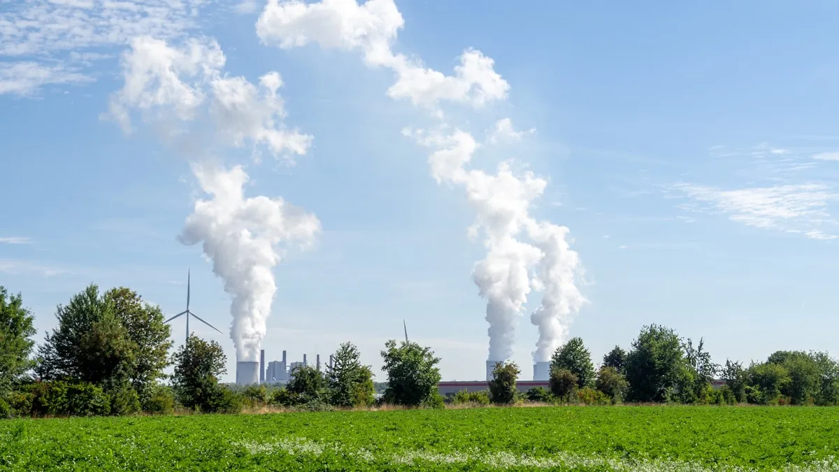 a field with smoke coming out of it. Photo by Wim van 't Einde on Unsplash