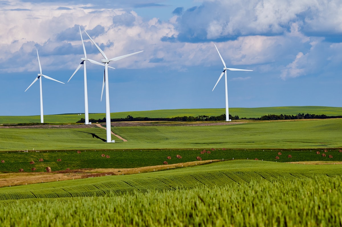 white windmill, Photo by Abby Anaday on Unsplash