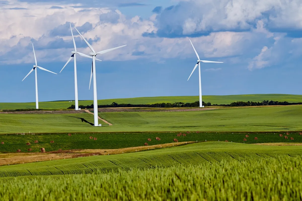 white windmill, Photo by Abby Anaday on Unsplash