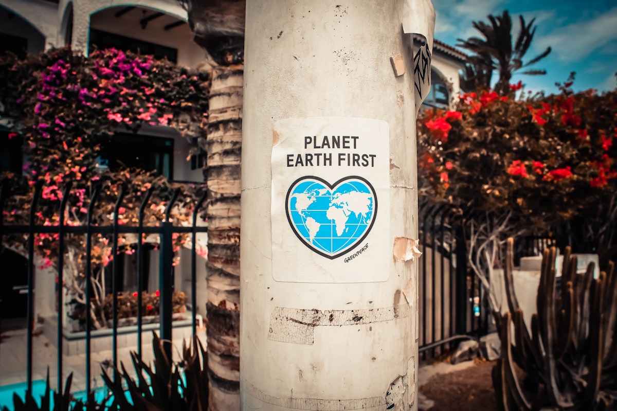 Planet Earth First signage sticked in gray post outdoors, Photo by Photo Boards on Unsplash