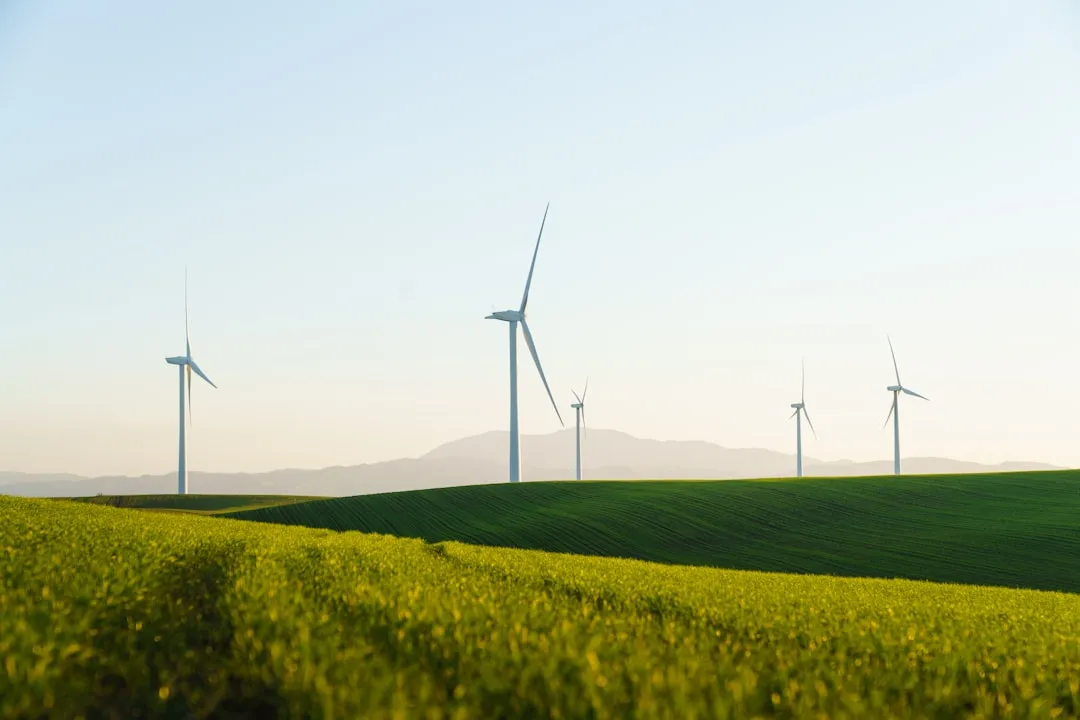 a field of green grass with wind turbines in the background, Photo by Zac Wolff on Unsplash
