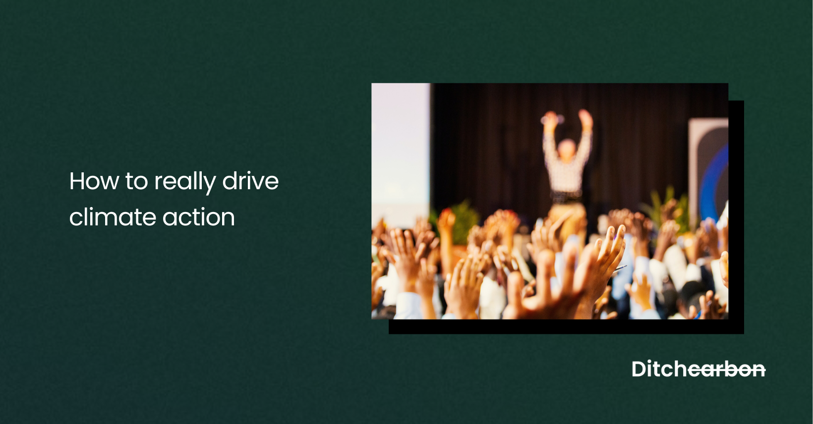 Title card reading "How to really drive climate action" beside a photo of a crowd raising their hands to a speaker on stage