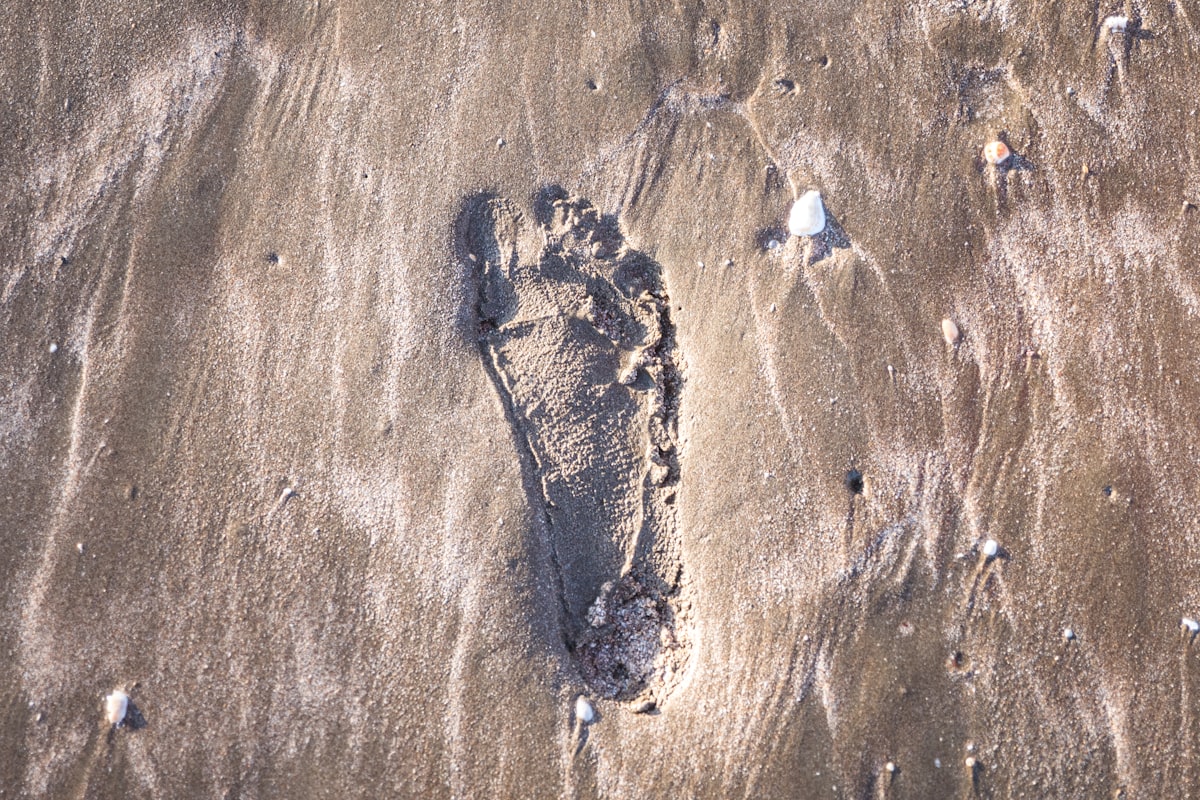 Single footprint pressed into wet sand