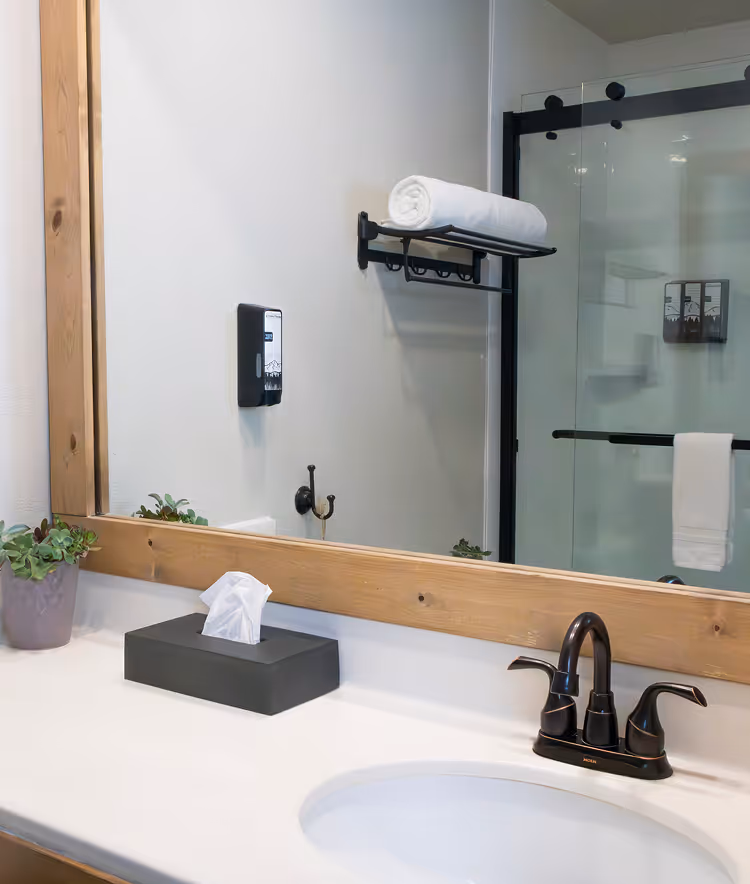 Bathroom sink with dark faucet, tissue box, small plant, large wooden-framed mirror, and glass shower door.