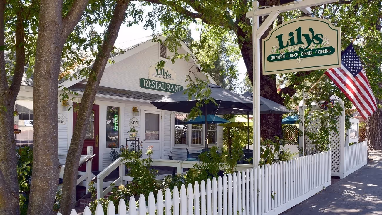 The dog friendly patio at Lily's