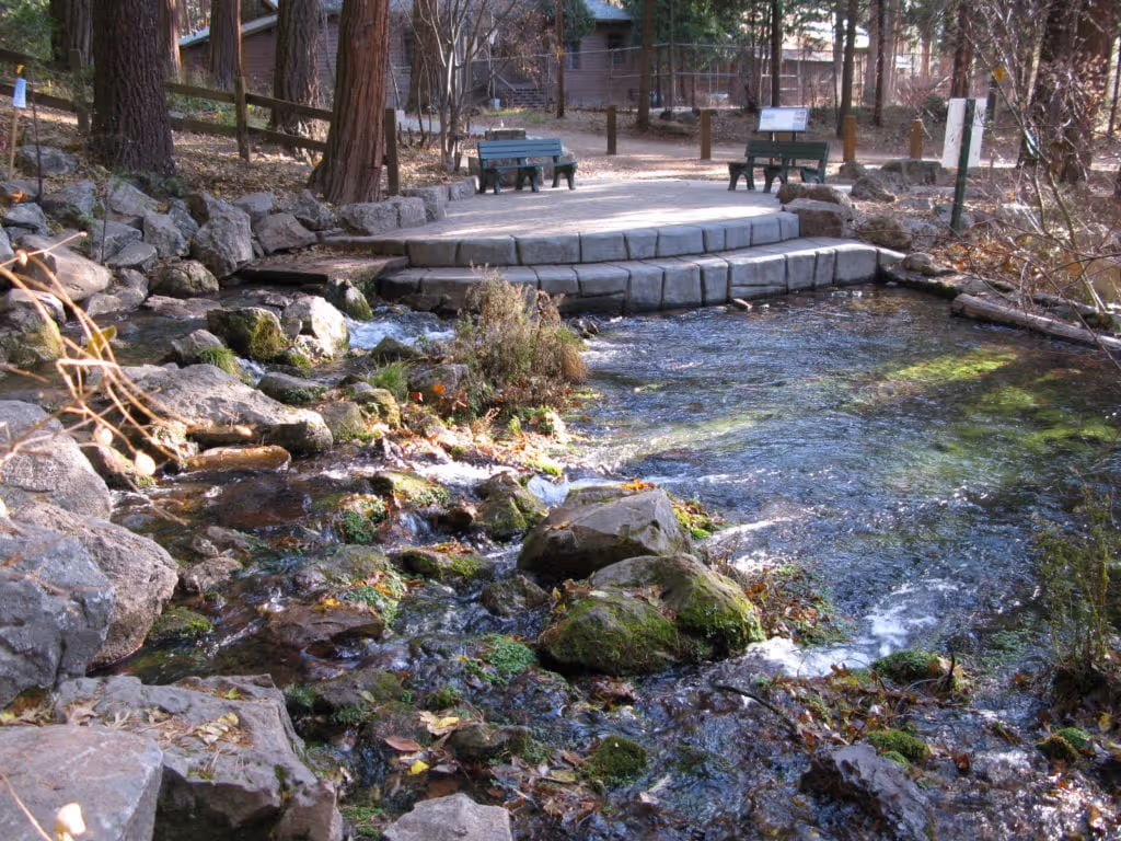Mt Shasta City Park headwaters of the Sacramento River