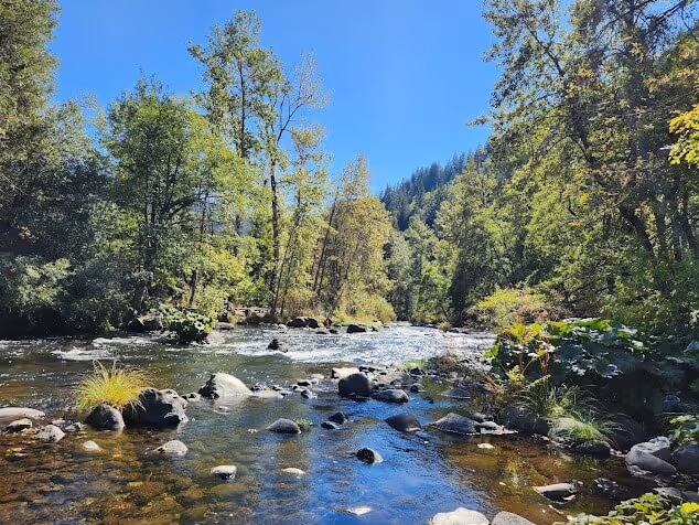 Dunsmuir Botanical Gardens