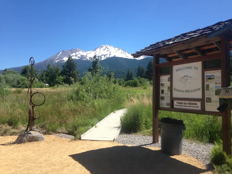 Sisson Meadow pathway through wetland with Mount Shasta in the background