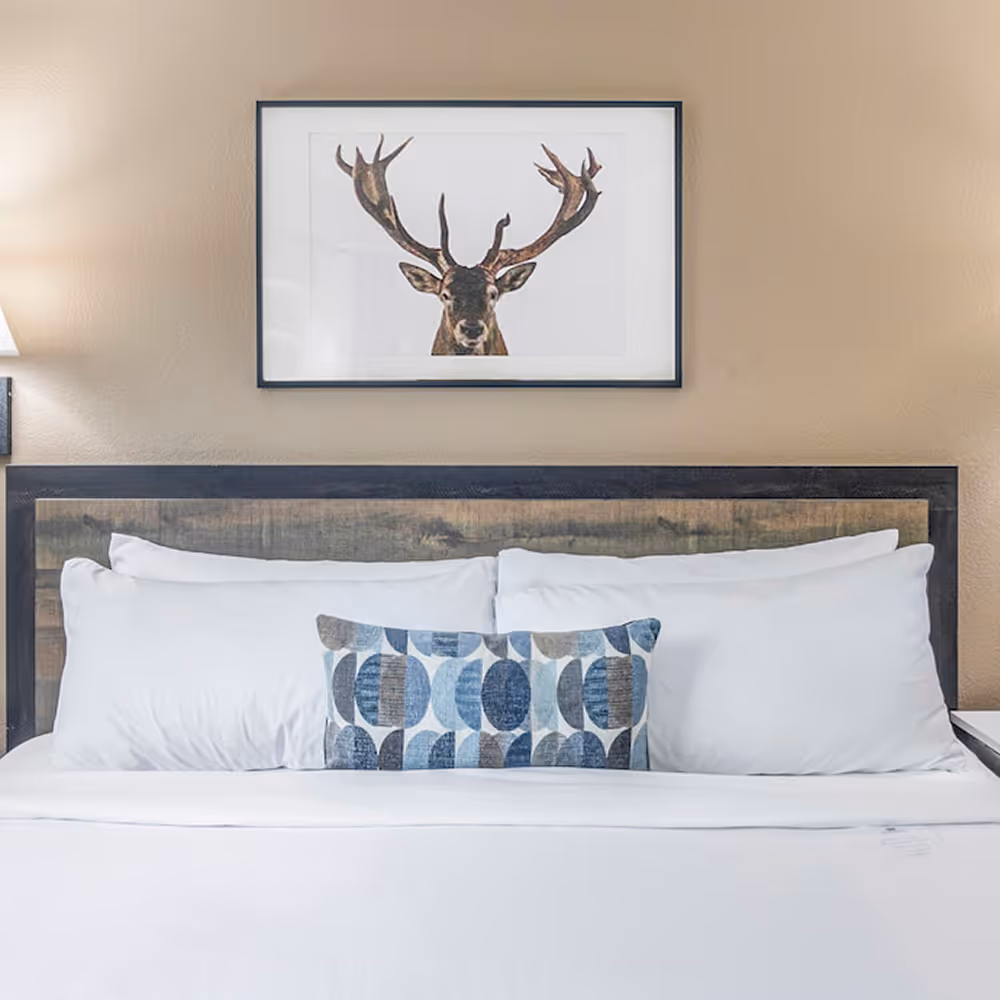A closer look at the king bed — wood headboard, layered pillows, and the room's signature stag.