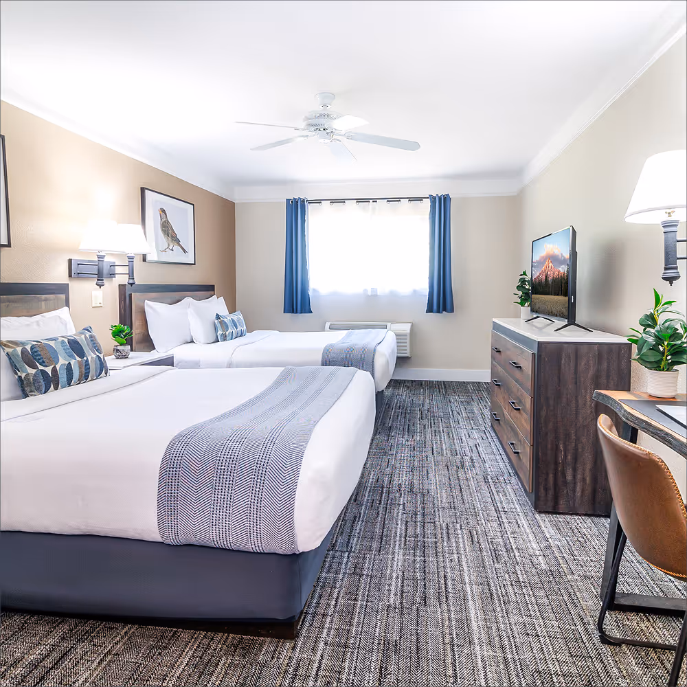 The Two Queen Room at a glance — two queen beds, a desk corner, and that calm earthy palette.