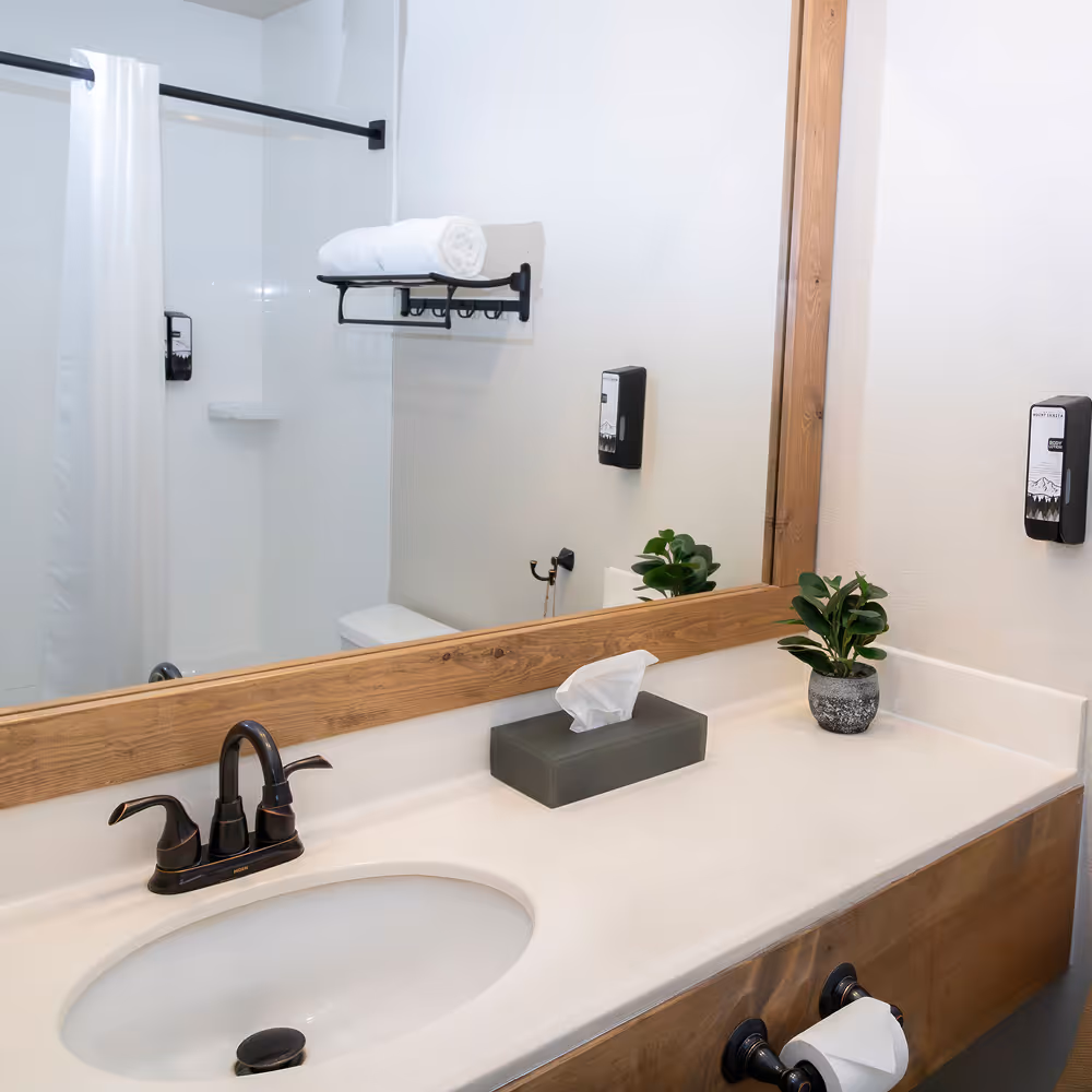 Renovated bathroom with a walk-in shower and warm wood-framed mirror.
