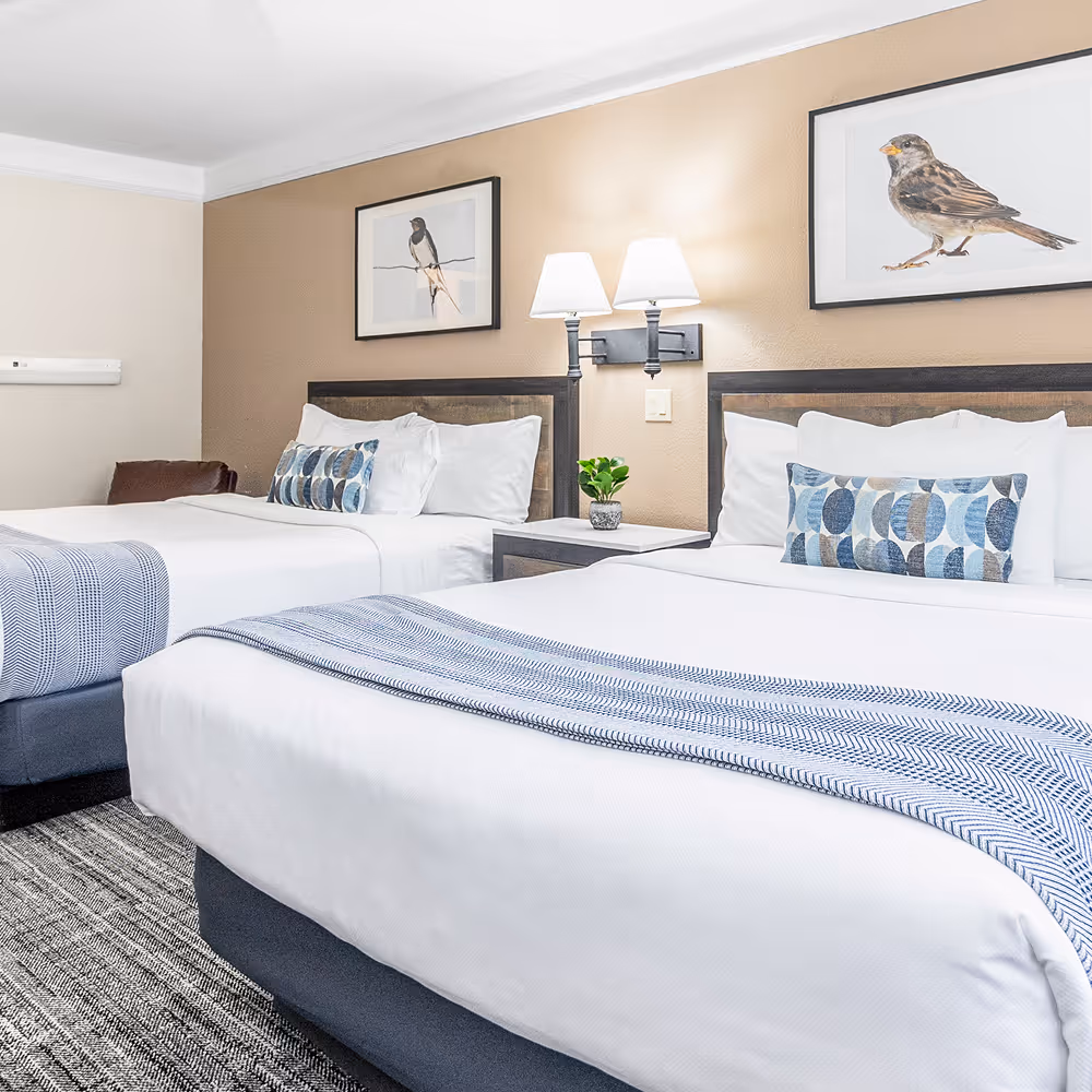 The two queen beds up close, layered linens and a pair of soft bird prints overhead.