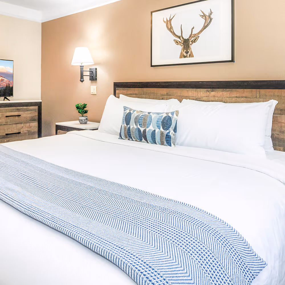 The king bedroom's quiet corner, with the signature stag print watching over a layered bed.