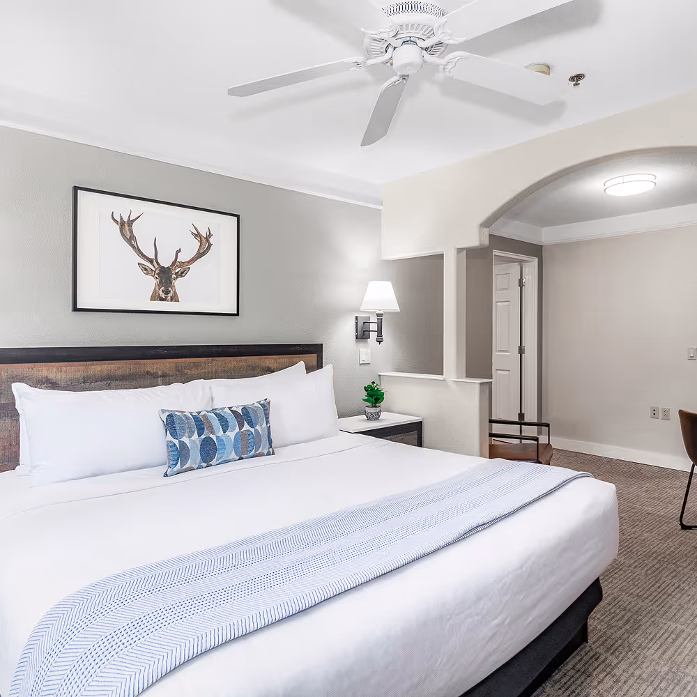 The king bed tucked under the archway, with the room's signature stag print overhead.