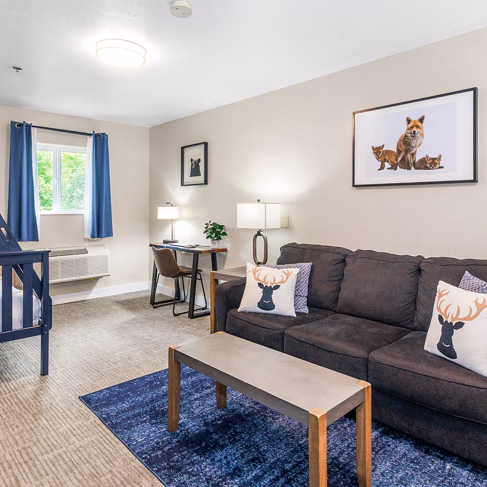 The lounge area — sofa, desk, and a little gallery of forest friends on the wall.