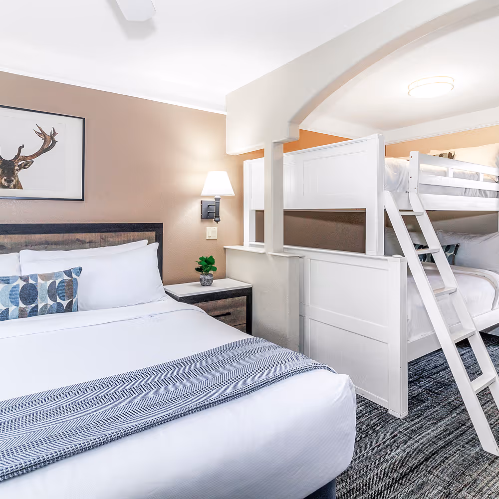 The queen side of the suite, anchored by a reclaimed-wood headboard and the room's signature stag print.