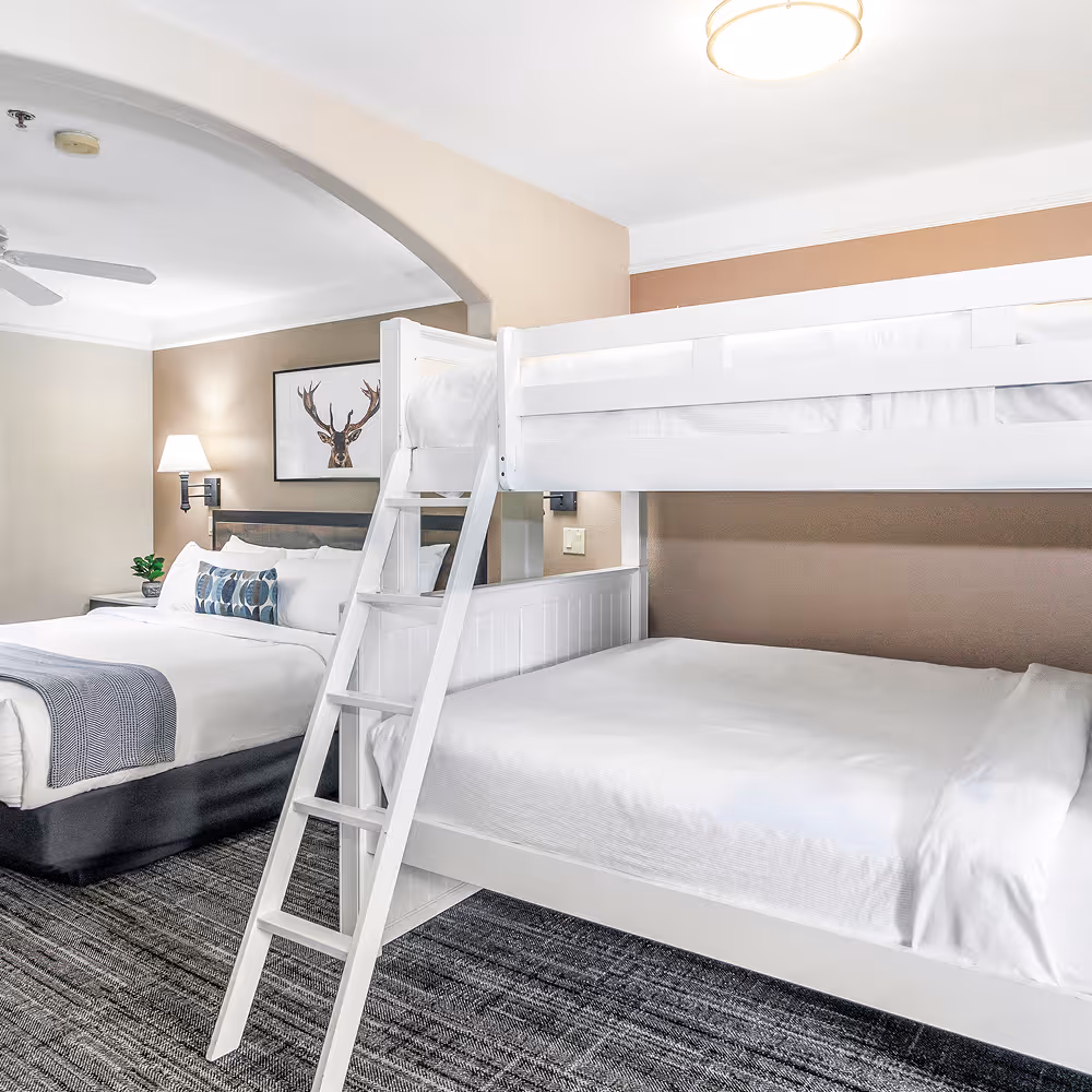 Bunk Suite at a glance — queen bed and bunks sharing one open, airy space.