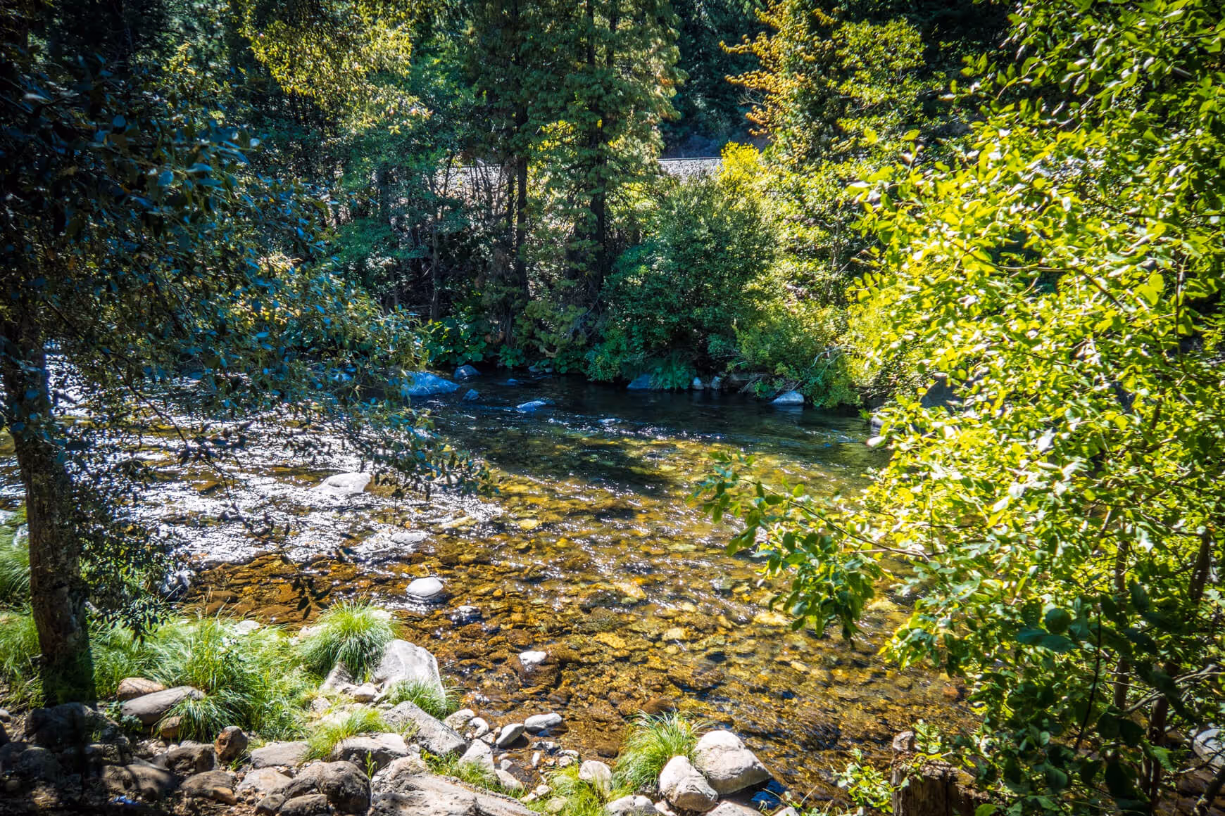 River at Tauhindauli Park