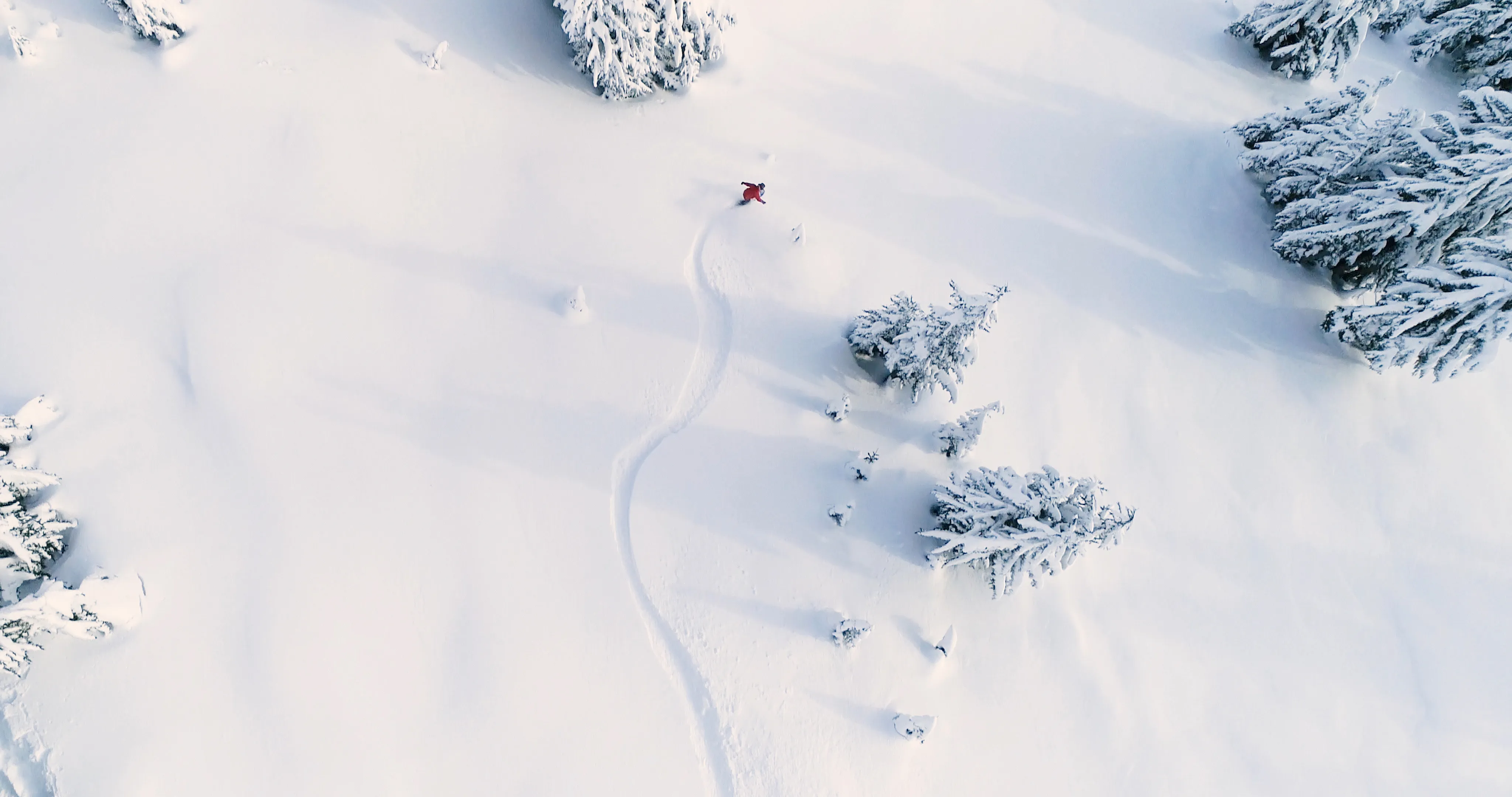 Freerider im Pulverschnee zwischen Bäumen am Arlberg St. Anton