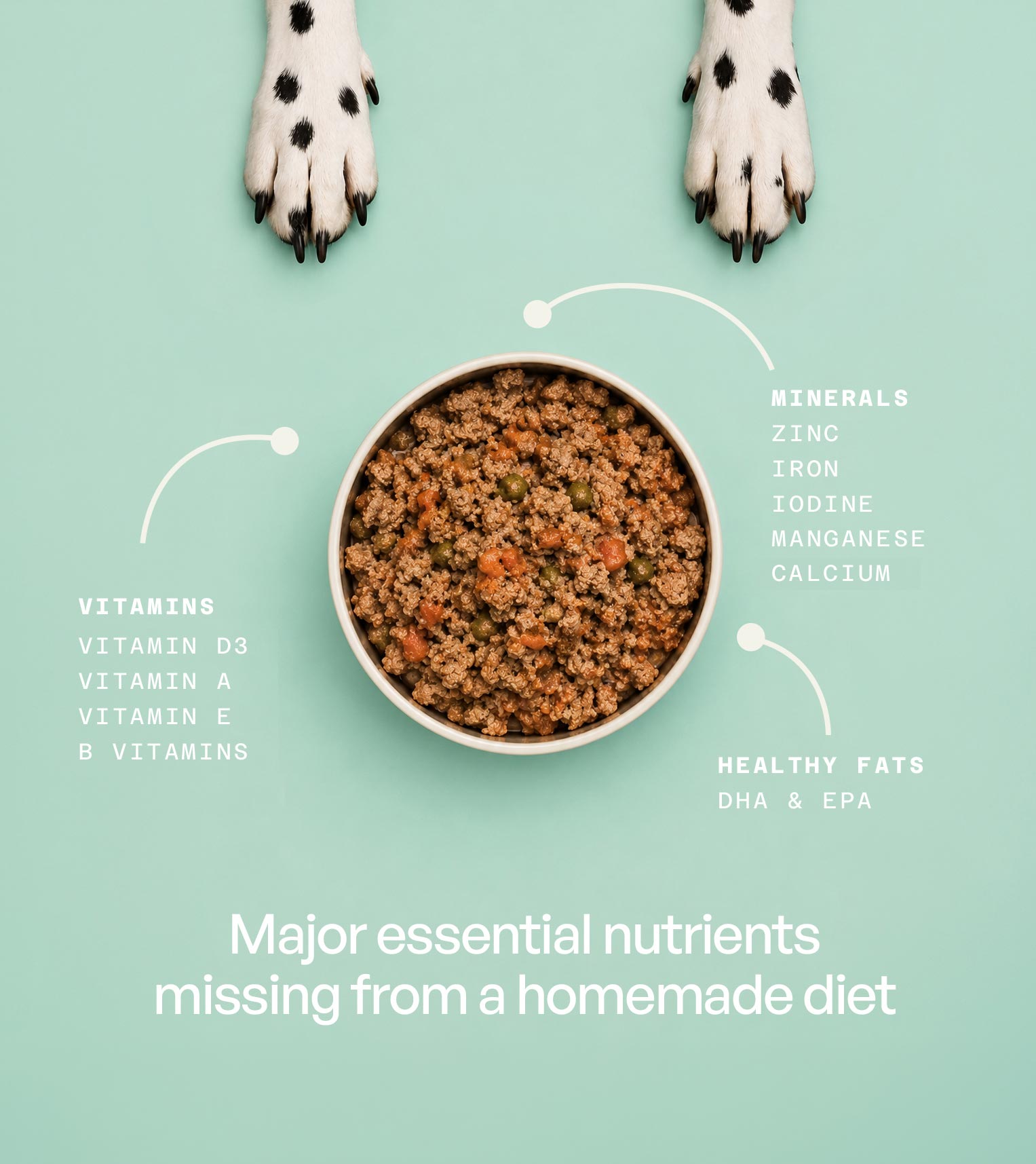 Bowl of homemade dog food with dog paws above and text listing vitamins, minerals, and healthy fats missing from a homemade diet.