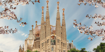 Sagrada Família basilica in Barcelona framed by blooming cherry blossom branches against a blue sky.