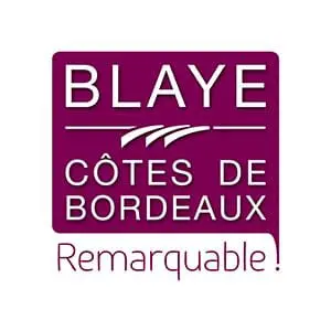 logo blaye