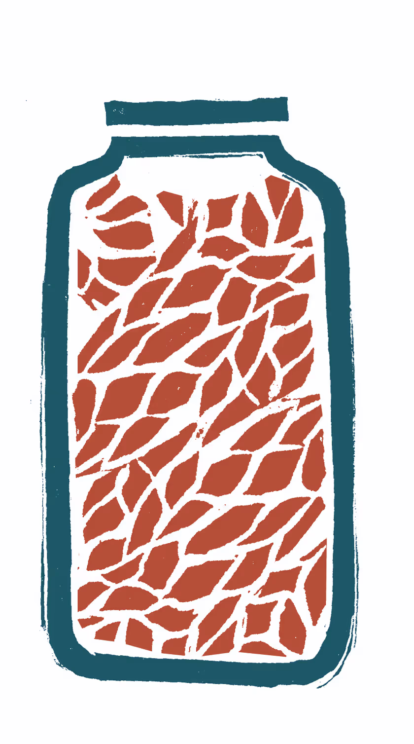Illustration of a jar filled with scattered brown leaf shapes outlined in teal.