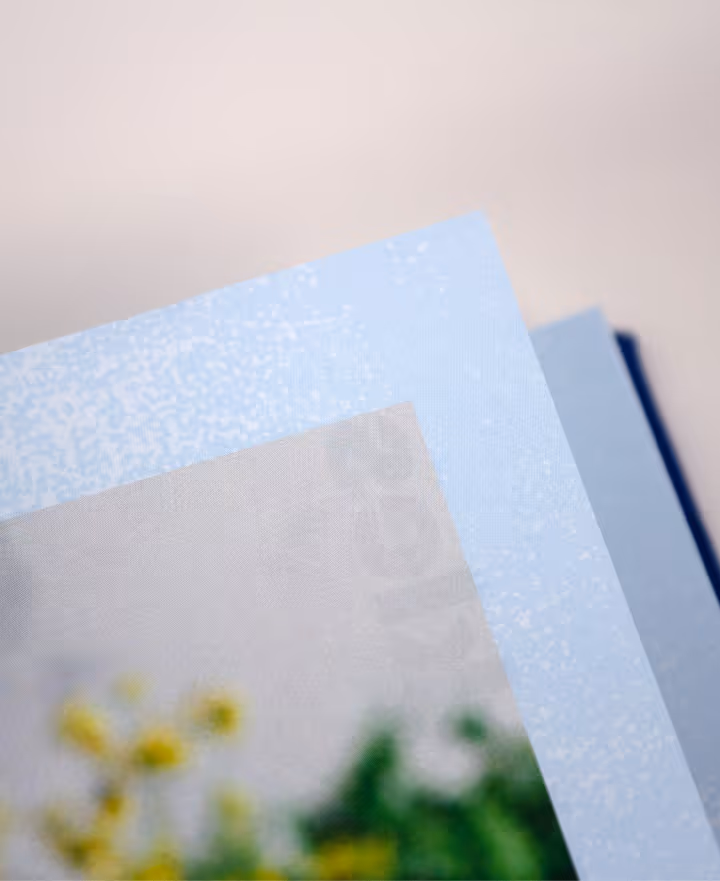Close-up of stacked photos with blue borders, showing blurred greenery and yellow flowers.