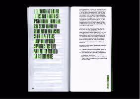 Open book with text on both pages and a green block pattern on the left page.