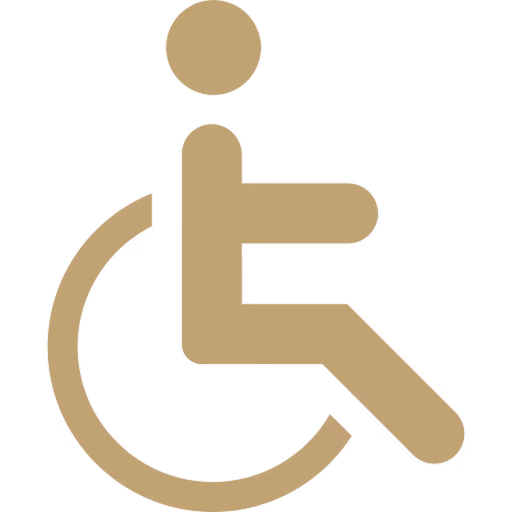 Accessible icon featuring a person in a wheelchair symbol.