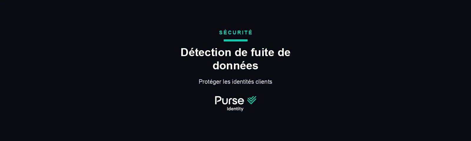 Détection de fuite de données — Purse Identity