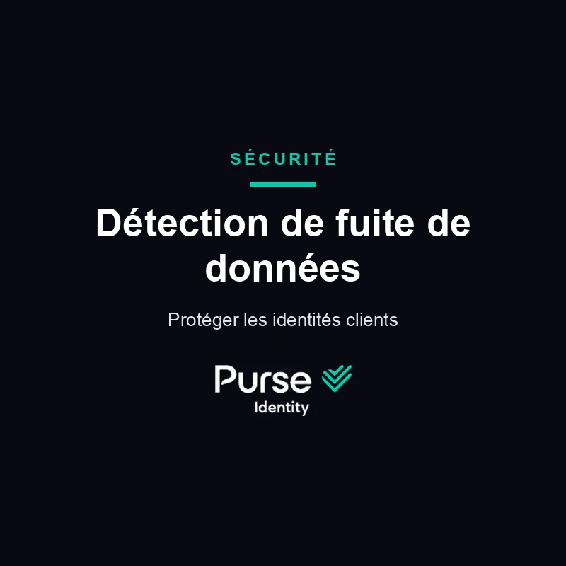 Détection de fuite de données — Purse Identity