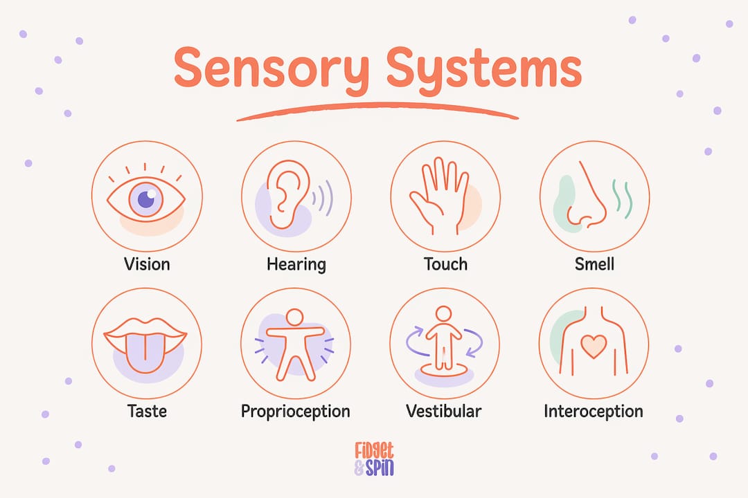 Infographic illustrating the eight sensory systems