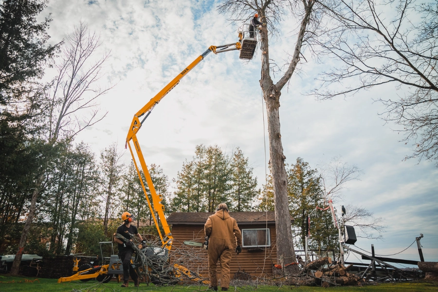Tree removal crew using a boom lift at a Kawartha Lakes property by TEG Contracting