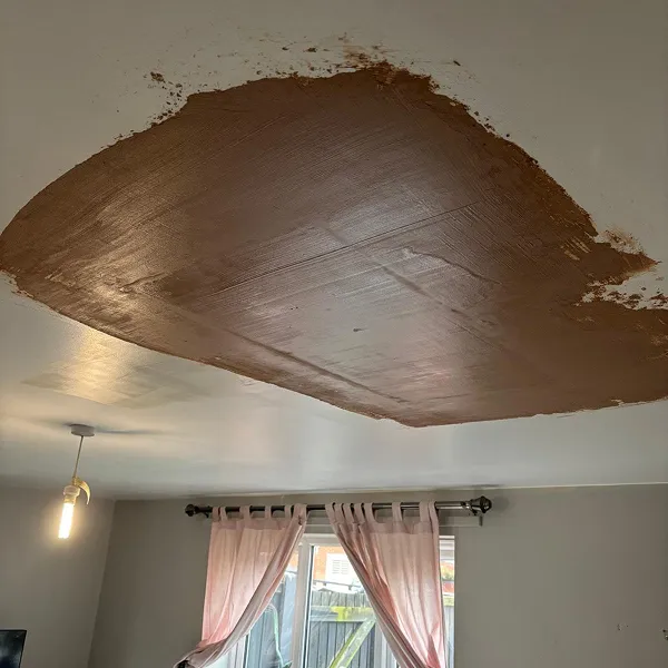 Fixing a hole in the roof
