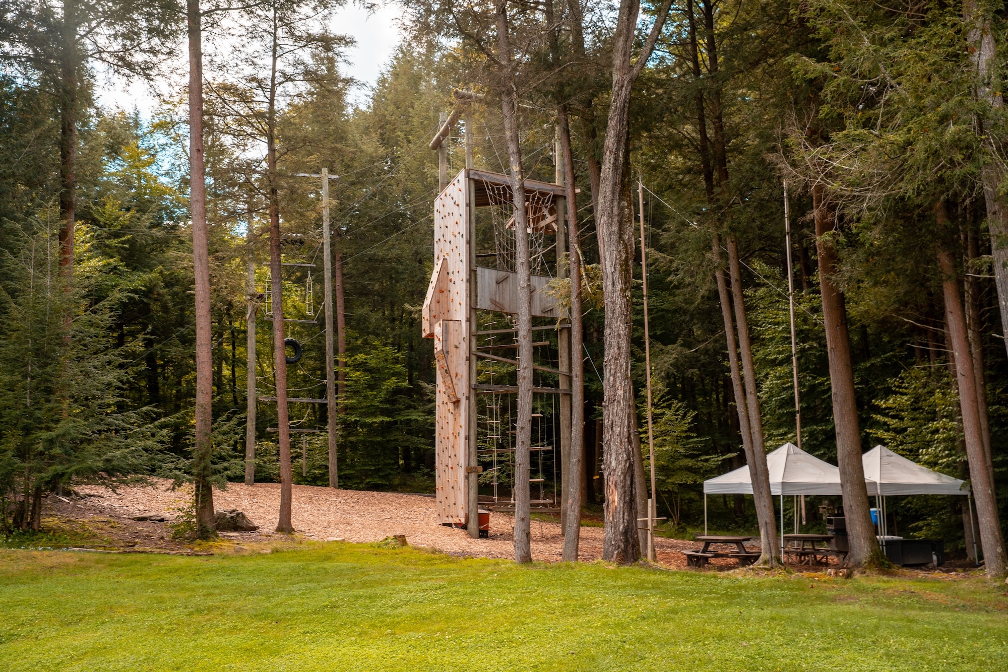 Guests taking part in activities across the grounds at The Acres