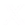 Twitter White Icon