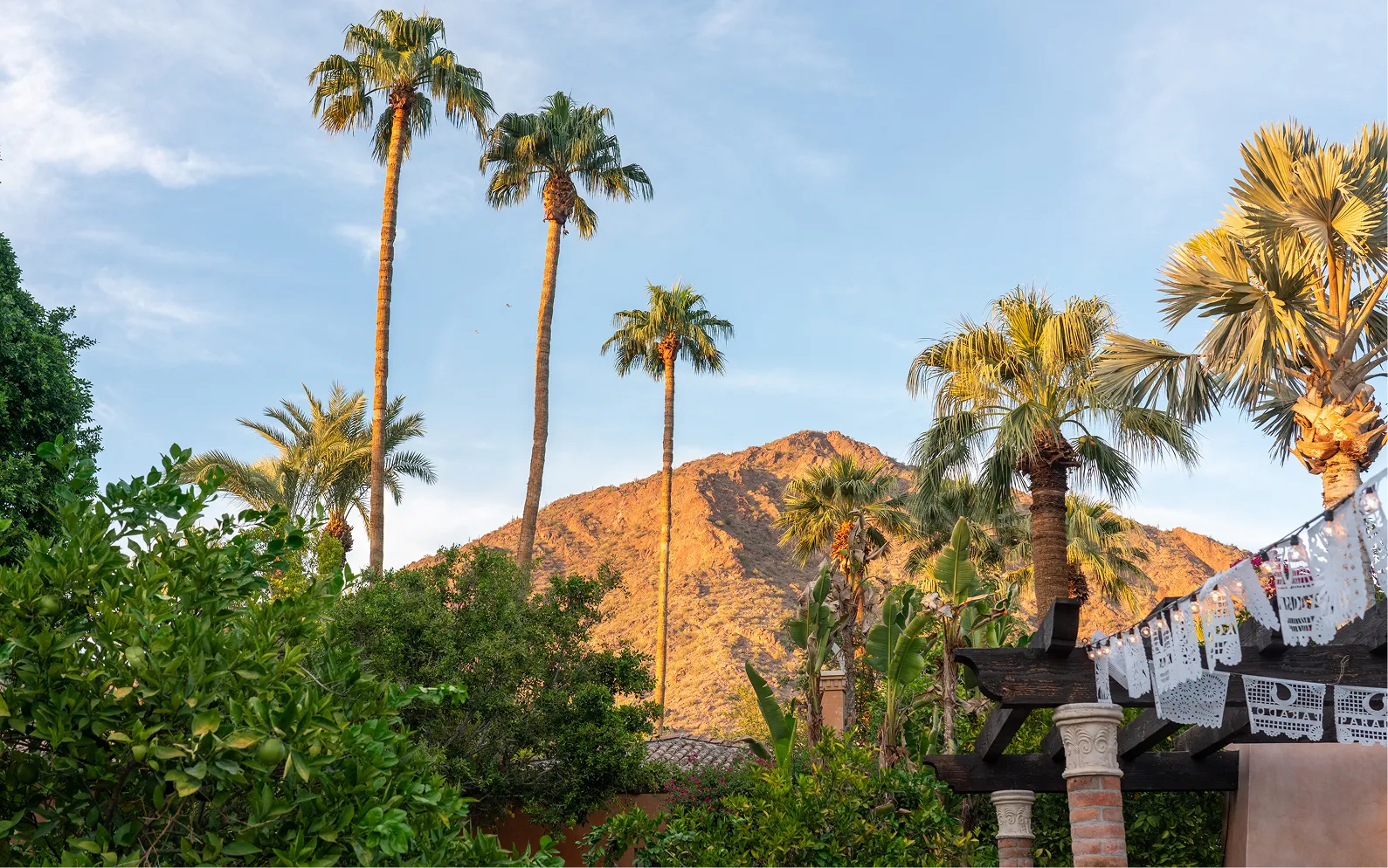 Palm trees and greenery with a mountain in the background under a clear blue sky.