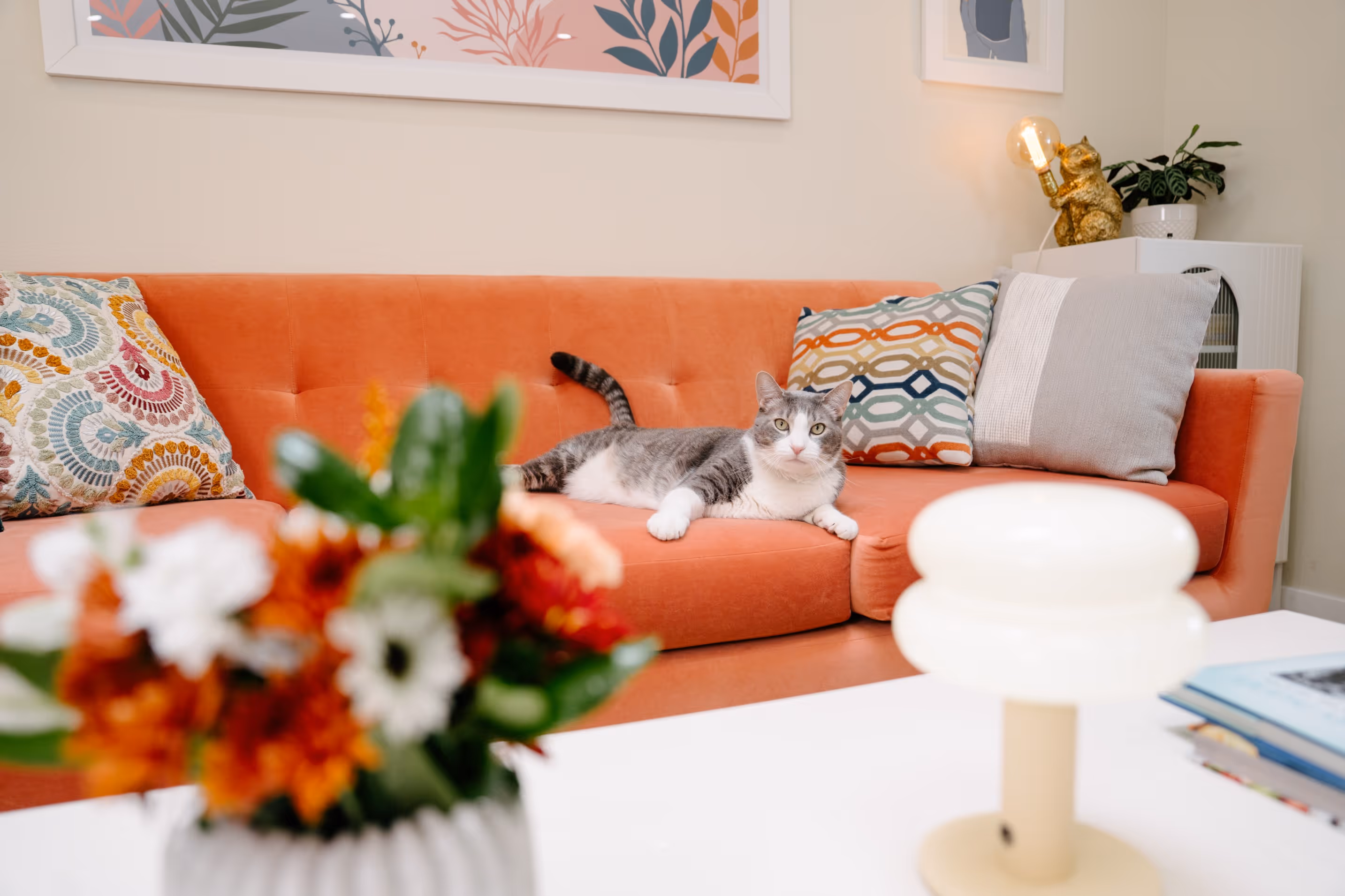 A grey and white cat perched along the back of an orange sofa, partly hidden behind a vase of autumn flowers.