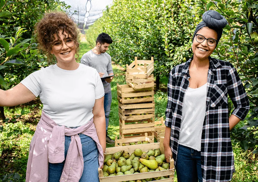 Two people standing beside crates of fruit in an orchard.