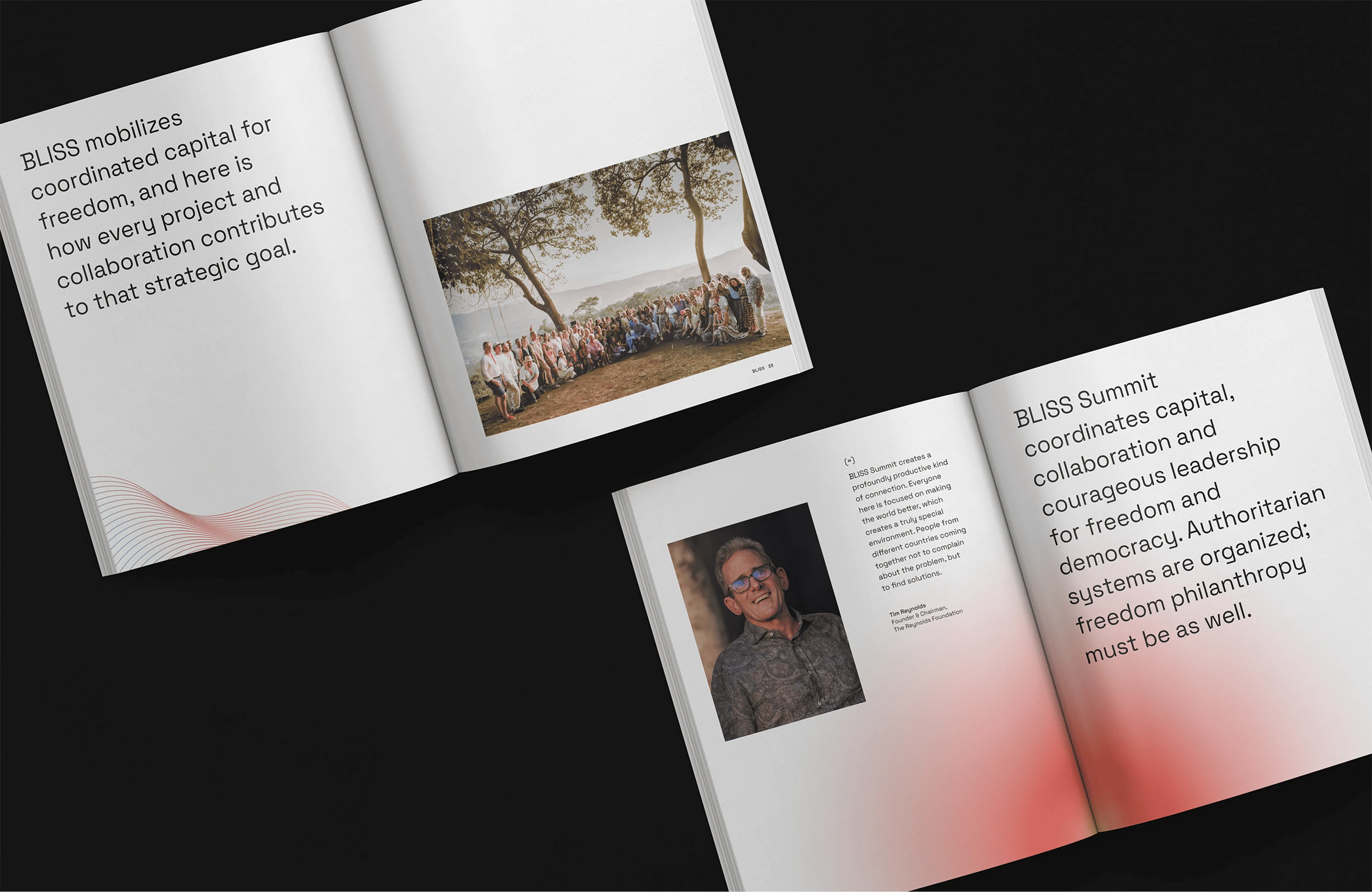 An open report spread on how BLISS mobilises coordinated capital, with a group photograph.