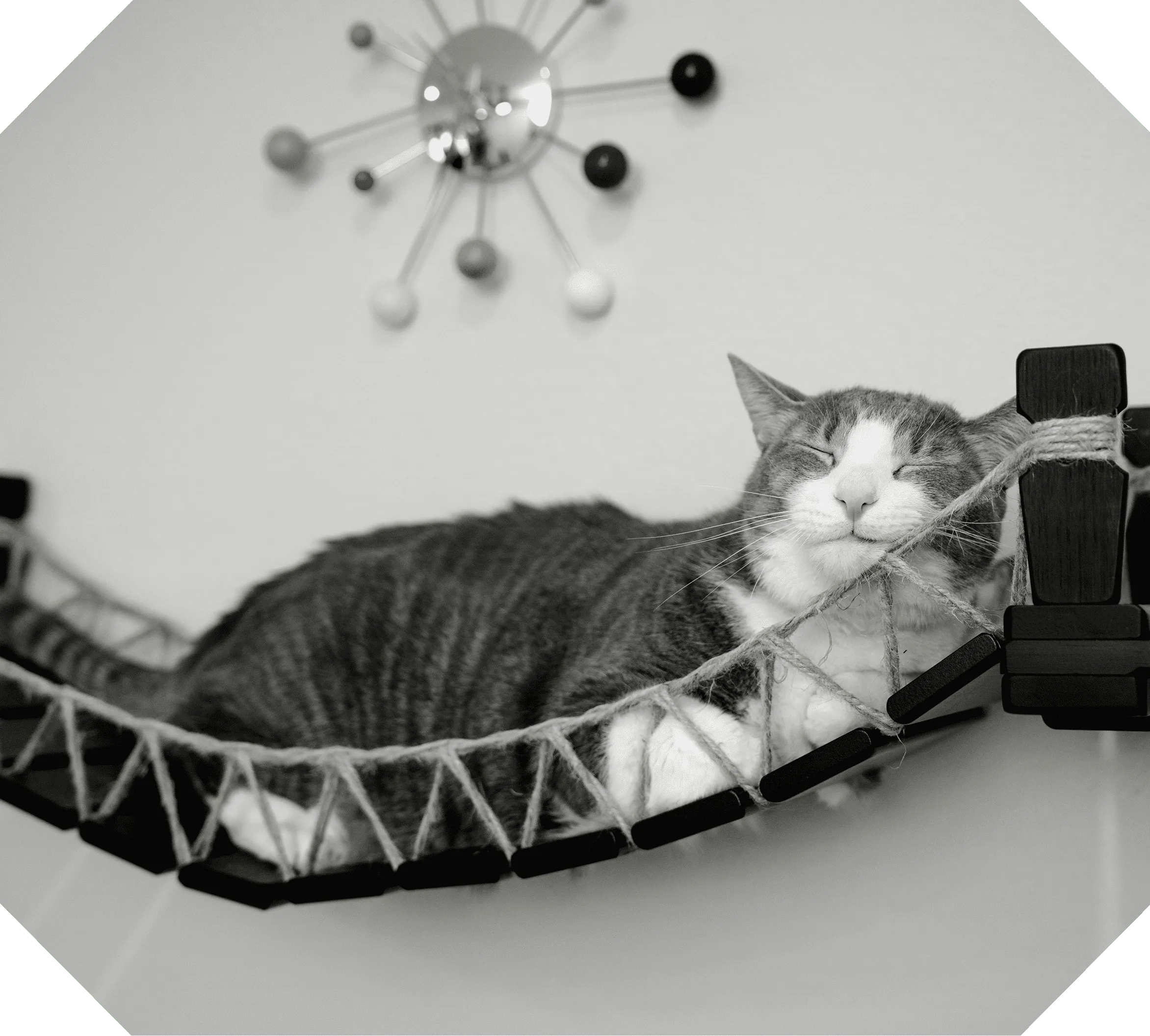 A black and white photograph of a grey and white cat stretched out asleep on a wall-mounted hammock shelf beneath a starburst light fitting.