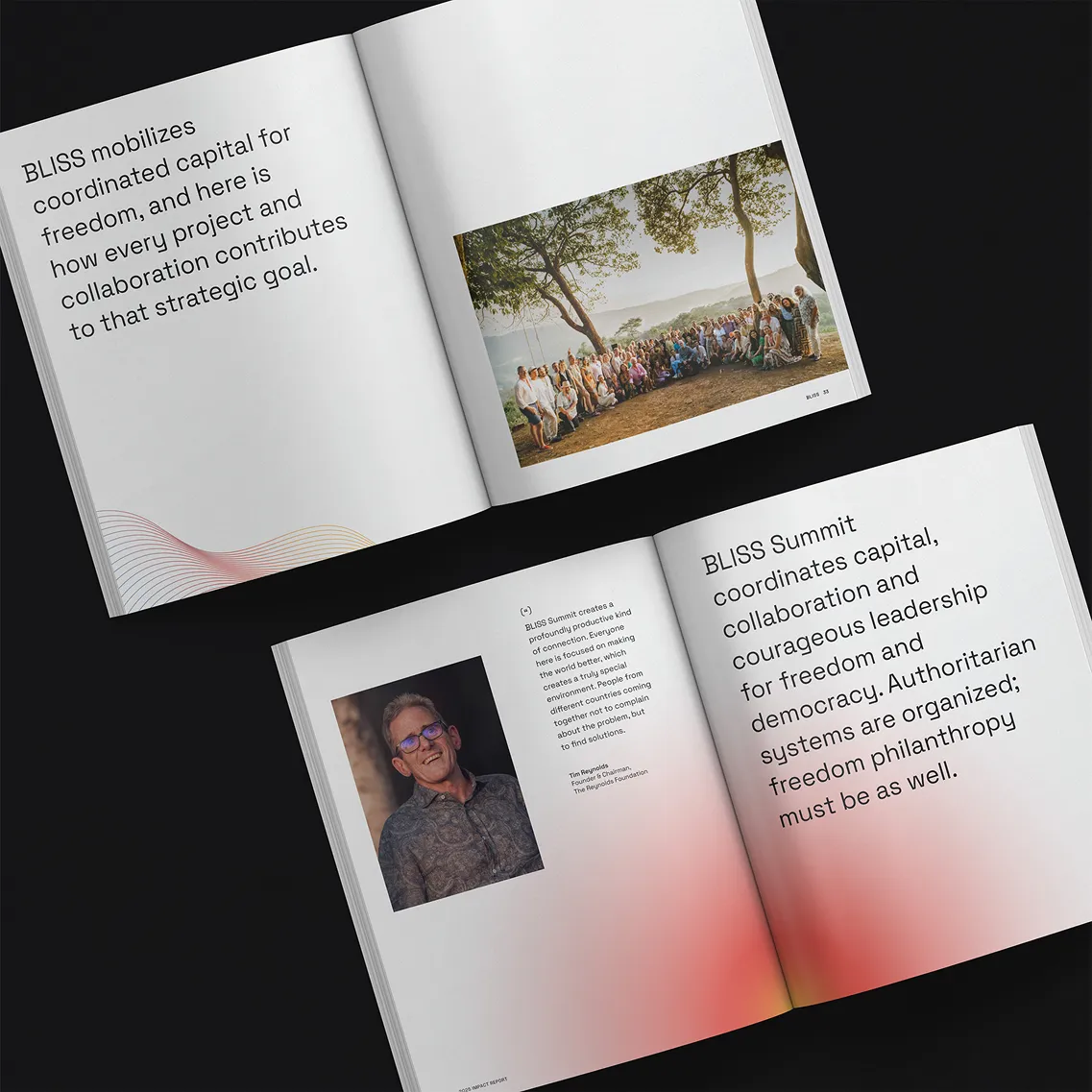 Report spreads describing how BLISS coordinates capital and leadership, with portraits.