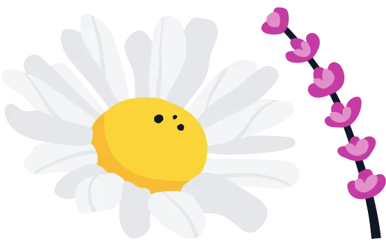 An illustration of a daisy beside a sprig of pink flowers.
