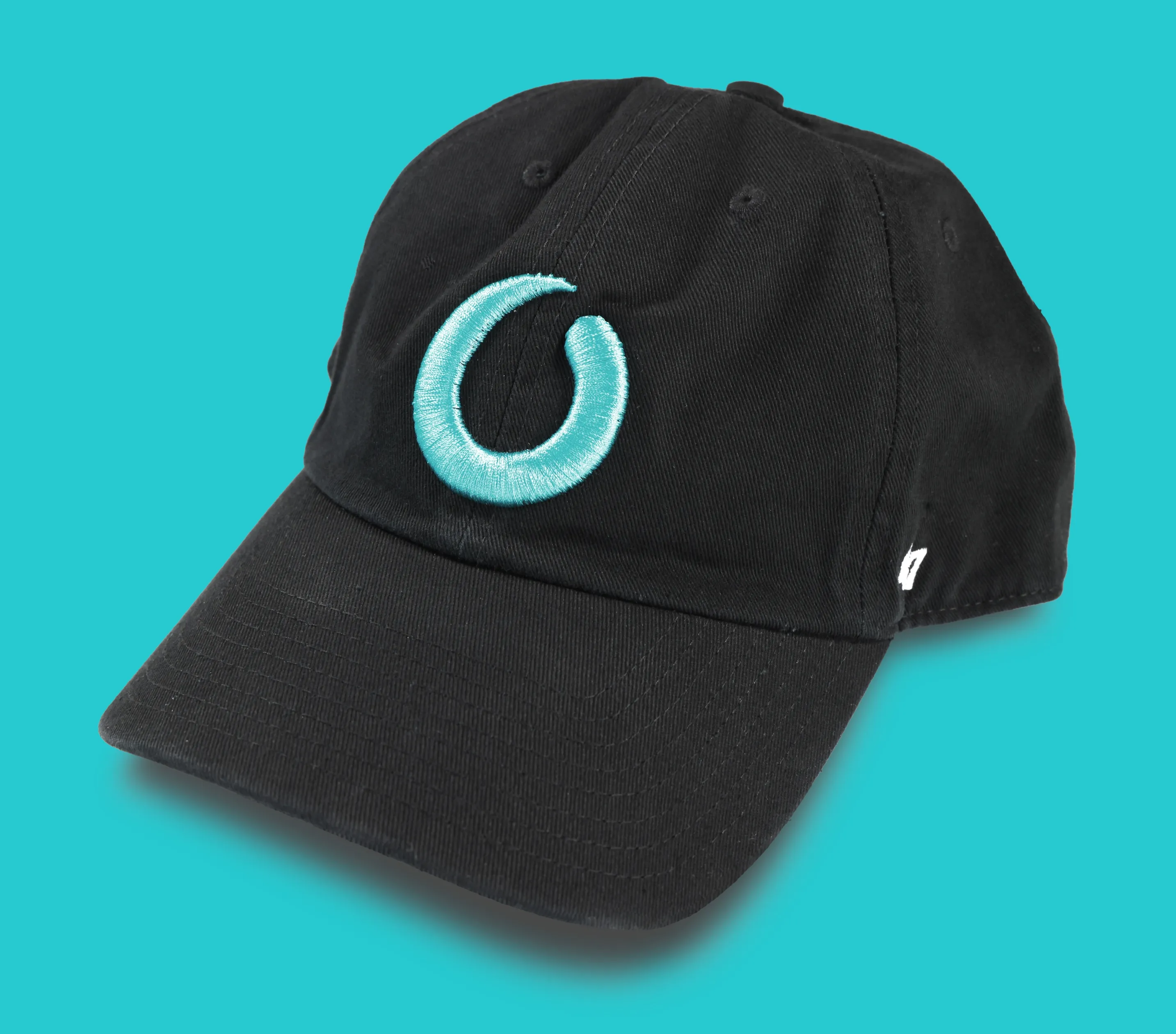 A black Paradox baseball cap with an embroidered brand mark on a teal background.