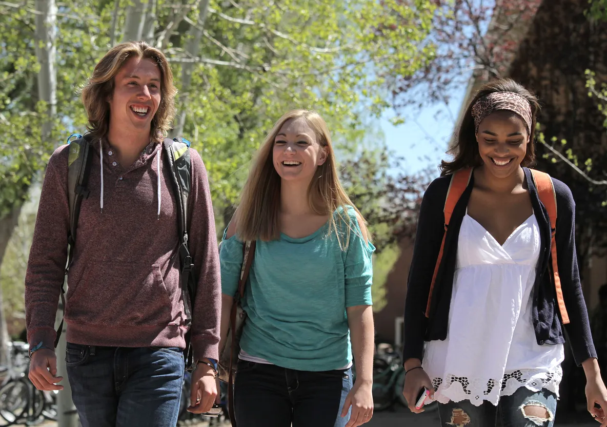 Three students walking together along a tree-lined campus path.