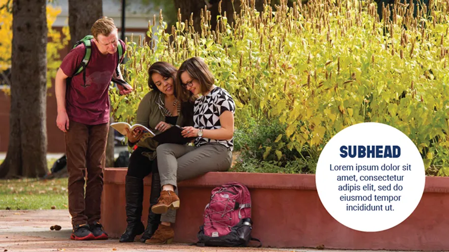 Three students reviewing a book sitting and standing by a garden wall outdoors on campus.